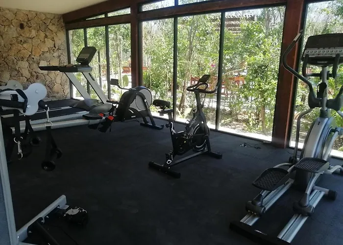 Estudio Completo En La Selva Apartment *