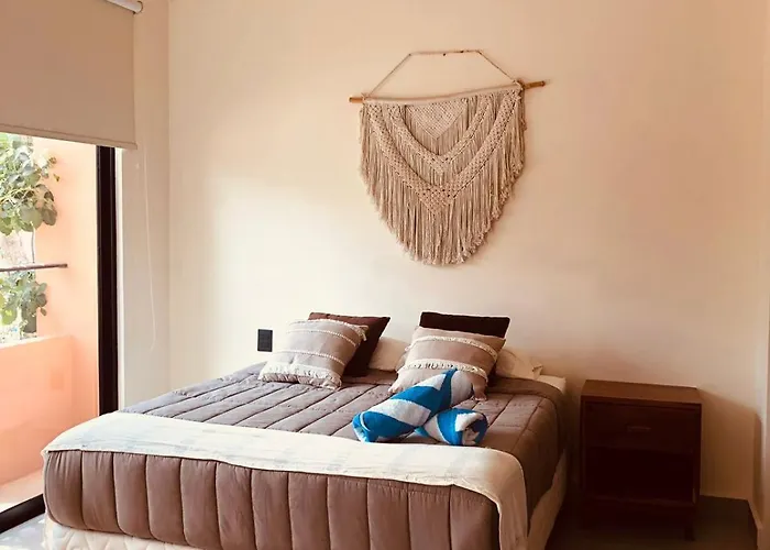 Estudio Completo En La Selva Tulum