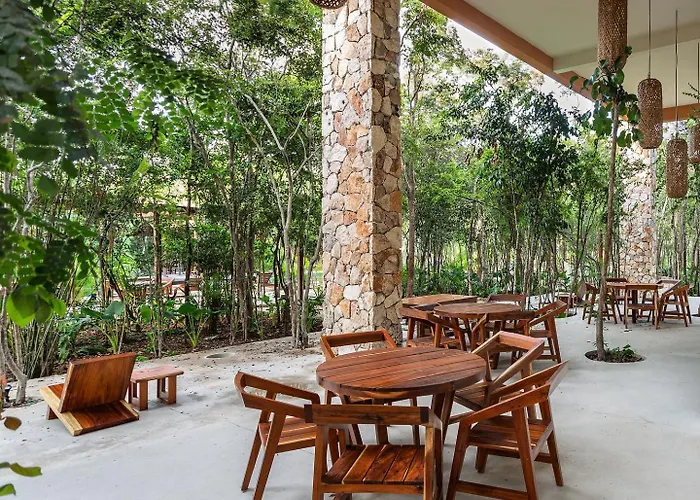 Estudio Completo En La Selva Apartment
