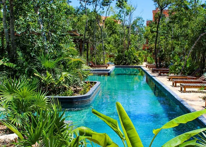 Estudio Completo En La Selva Tulum