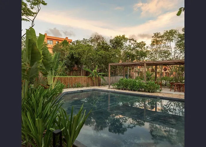 Estudio Completo En La Selva * Tulum