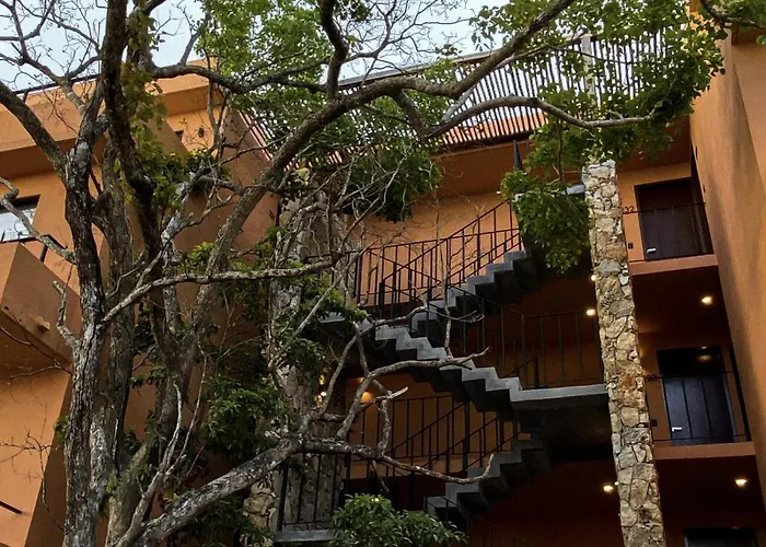 Estudio Completo En La Selva *